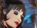 Siouxsie & The Banshees – The Rapture - 2 LP Vinyl Records 12