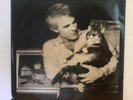 Steve Martin Wild and Crazy Guy Comedy LP Album 1978 Warner Bros HS 3238 VG+