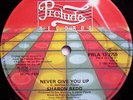 Sharon Redd - Never Give You Up / Send Your Love (12