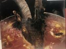The Rolling Stones - Goats Head Soup (Alternative Sleeve) - 2 x Clear Vinyl LP