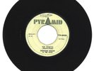 DESMOND DEKKER - FOO MANCHU - MAYTALS - WE SHALL OVERCOME - 7''