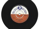 GAYLADS - YOU HAD YOUR CHANCE - WHA SHE DO NOW - 7''