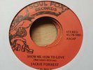 Northern Soul Jackie Forrest Soul fox