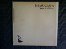 Babyshambles ‎– Down In Albion LP