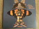 THE COURTEENERS More Again Forever Orange Vinyl + 12 x 12 Signed Print