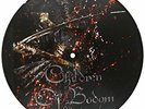 Children of Bodom - Blooddrunk LP LIMITED NUMBERED Picture Disc Vinyl Record NEW