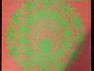 Magic Mushroom Band Process Of Illumination LP VG/VG