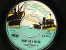 TONY SCOTT - WHAT AM I TO DO / BRING BACK THAT SMILE - ESCORT