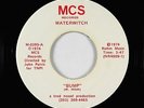 Funk 45 - Waterwitch - Bump/Which Way To Go - MCS - VG++ mp3