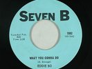 Northern Soul 45 - Eddie Bo - What You Gonna Do - Seven B - VG+ mp3