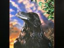 THE STRANGLERS – The Raven Limited edition 3D Cover 1979 original inner sleeve 