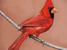 Alexisonfire 