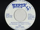 Modern Soul Boogie 45 - Ego - Wildcats From Kentucky - Earth - mp3 - rare