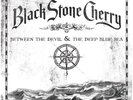 Black Stone Cherry - Between The Devil & The Deep Blue Sea 180GR Vinyl LP NEU