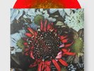 Protest the Hero - 'Kezia' Burn Away Burst Red & Gold 2LP Vinyl Sealed (x/750)