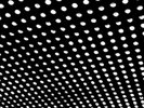 Beach House Bloom Vinyl