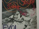 Sonic Youth – Evol - Vinyl - 1986 - UK