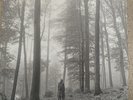 Taylor Swift - Folklore - 1. the 