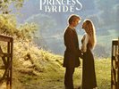 Mark Knopfler–The Princess Bride - Vinyl LP Greek analogue press 1987 Like New*