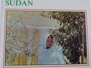 LP viny ABDEL KARIM el KABLY Sudan 1963,  STLP 500