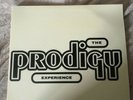 Vinyle Prodigy The EXPERIENCE