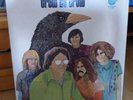Crow - 