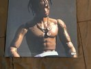 Travis Scott - Rodeo (Vinyl)
