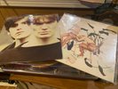 The House of Love & The Pains of Being Pure at Heart days of abandon vinyl lps
