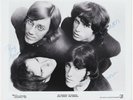DOORS orig signed 1968 press photo 10