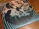 King Gizzard And The Lizard Wizard AUTOGRAPHED LP Live at Levitation KGATLW
