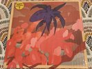 Mcbaise Windowsill Vinyl Record Limited Edition of 300 LP Excellent Condition