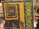 Hammerhead Into The Vortex Record