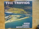 The Triffids –Born Sandy Devotional UK 1986 Hot Records HOTLP 1023 A-1U/B-1U EXC