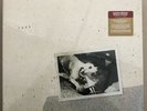 Fleetwood Mac - Tusk Limited Edition Deluxe Format