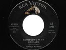 Northern Soul 45 - Nancy Adams - Somebody´s In My Orchard - RCA - Original