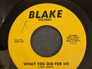 VESTER You Got The Power/What You Did For Me 45 Blake