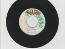 TUFF GONG/ SUN IS SHINING // RUN FOR COVER - THE WAILERS (71 REGGAE ROOTS 7
