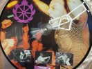 Shelter Vinyl 10 Terror gorilla biscuits