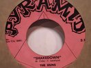 THE HUNS SHAKEDOWN I KNOW 1966 N. CAROLINA GARAGE BAND 7