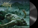 CATTLE DECAPITATION - 'The Anthropocene Extinction' LP