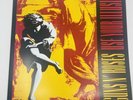 Use Your Illusion I by Guns N' Roses (Record, 2012)