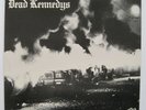 Dead Kennedys – Fresh Fruit For Rotting Vegetables 1980 1st press.  B RED 10