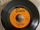 Rock with Bill Haley and the Comets 