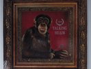 TALKING HEADS Naked SIRE 9 25654-1 LP club edition SEALED b