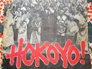 Thomas Mapfumo & The Acid Band – Hokoyo  ZIMBABWE Soul Afro Trad   Beat City