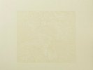 Bon Iver For Emma Forever Ago 10th Anniversary Edition Vinyl LP Record Shrink