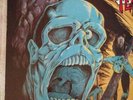 BLOOD FEAST KILL FOR PLEASURE LP 80'S THRASH DEATH HEAVY METAL 1ST PRESSING NRR