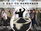 What Separates Me from You by A Day to Remember (vinyl Record)