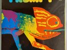 FRUMPY  - Inga Rumpf  - All Will Be Change - Gimmik Cover - sehr gut