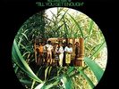 The Watts 103rd Street Rhythm Band/In The Jungle,Babe UK 1969 EXCELLENT LP VINYL